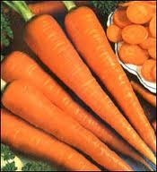 carote sott'aceto.jpg